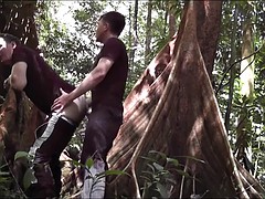 randon road gets fucked in the rainforest