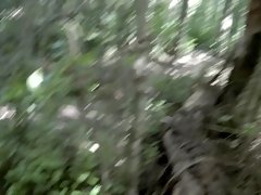 Peeing on a fallen tree in a public forest
