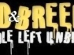 Feed & Breed 9 Kemancheo + RoRo (Scene 1 Trailer) No Hole Left Unbred